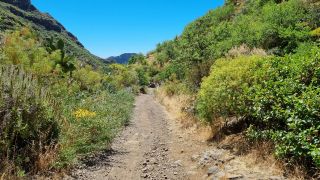 2023-04-GranCan-Guayadeque-057.jpg